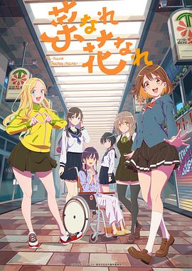 网站设计优化方案有哪些